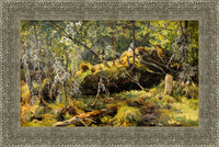 Silver frame