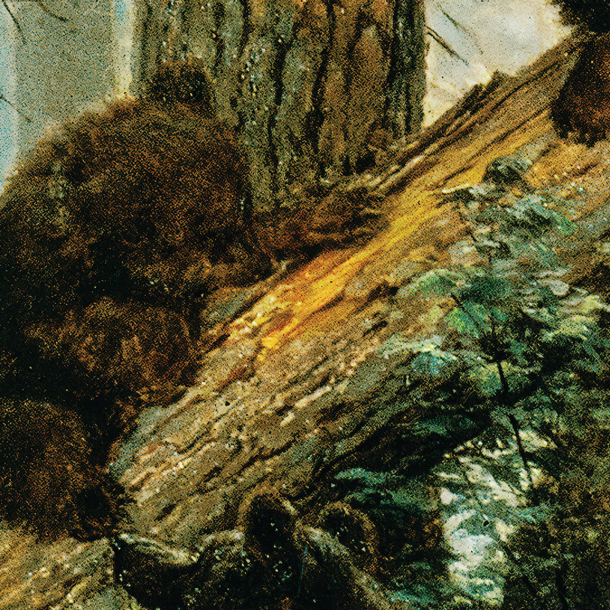 Morning in a Pine Forest – Ivan Shishkin, 1889, print detail at full resolution