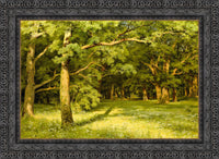 Dark Bronze frame
