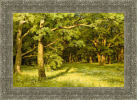 Silver frame