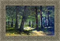 Silver frame