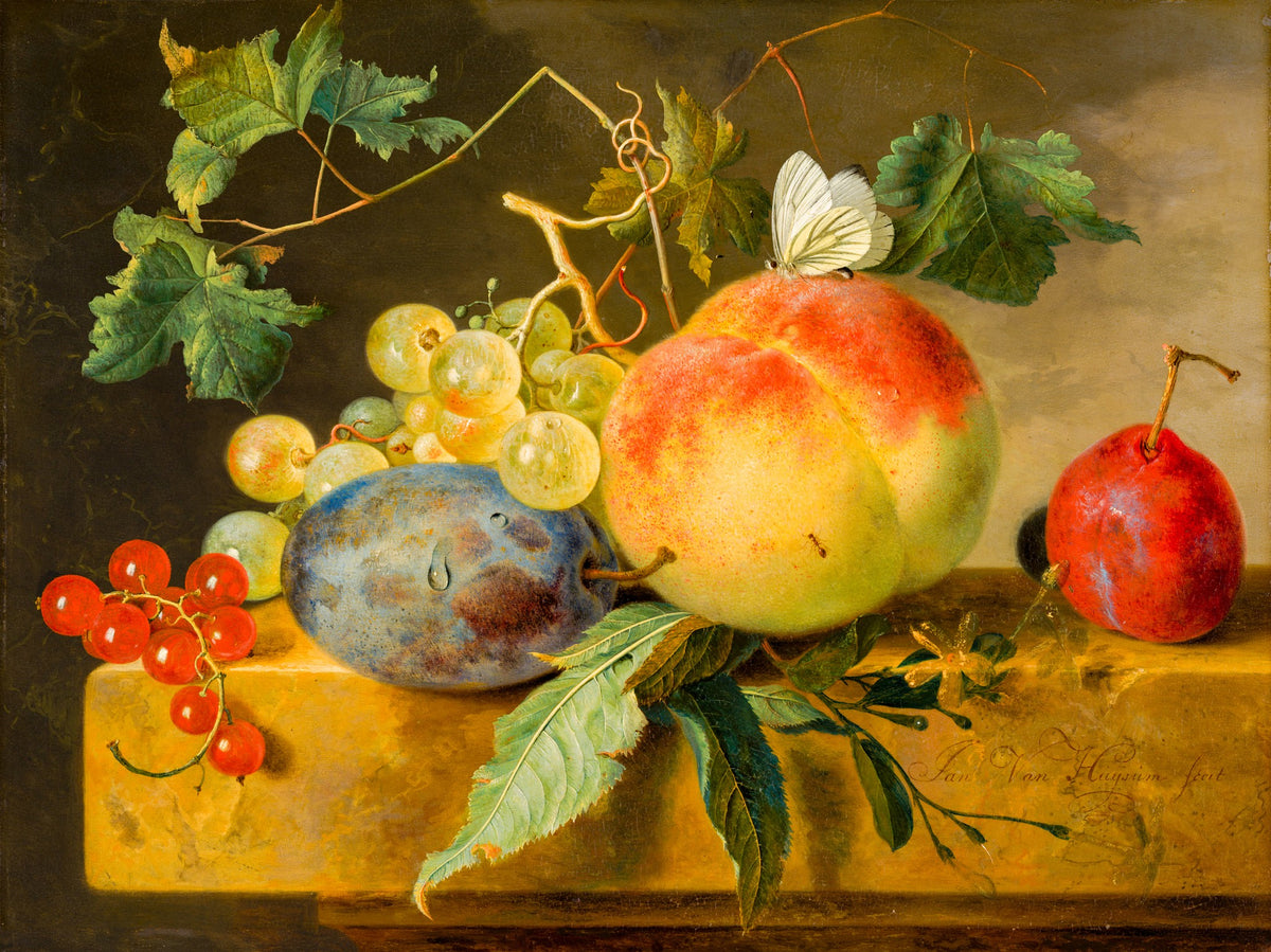 Fruit Still Life – Jan van Huysum, c. 1722, framed
