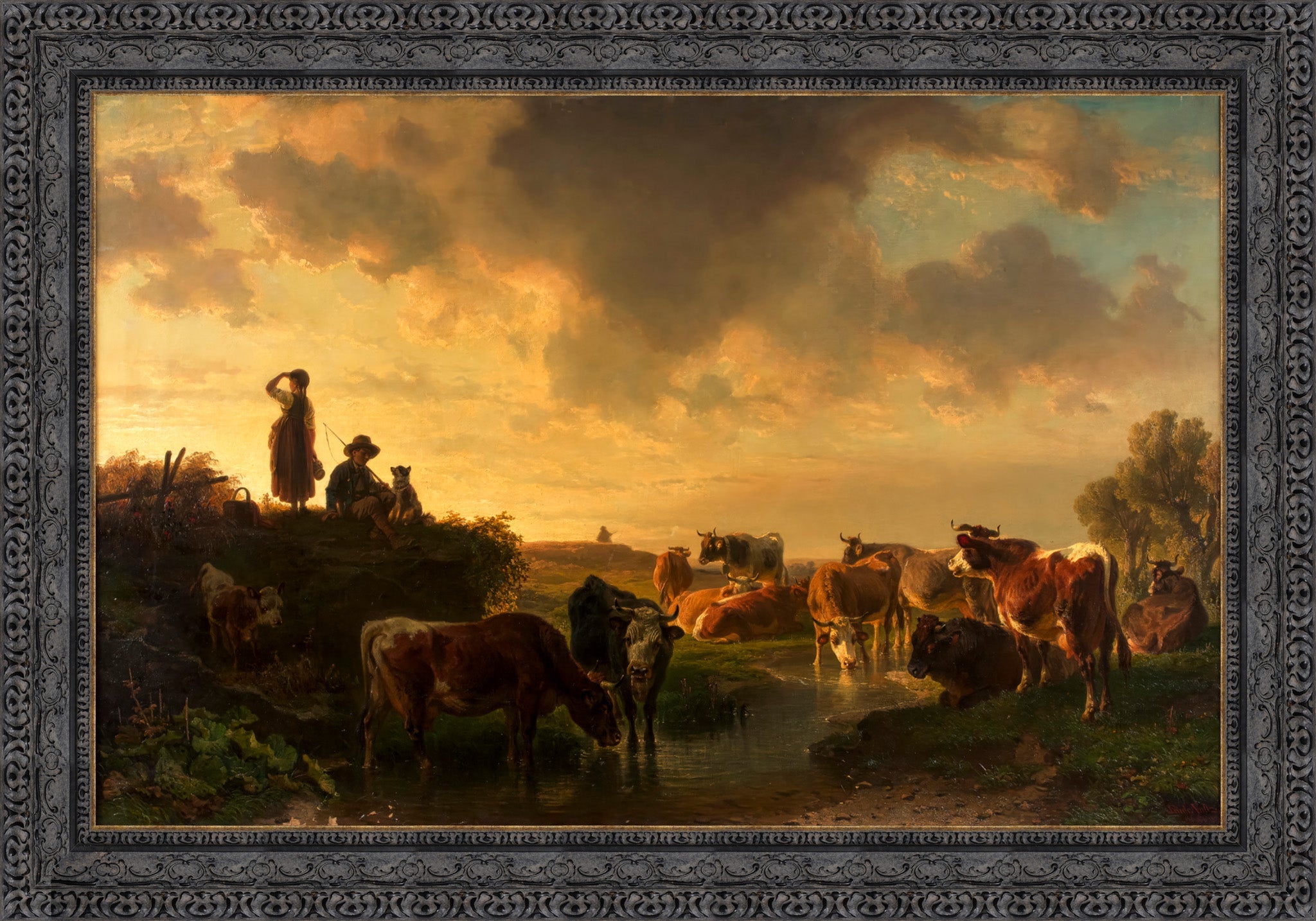 Abend Auf Der Viehweide