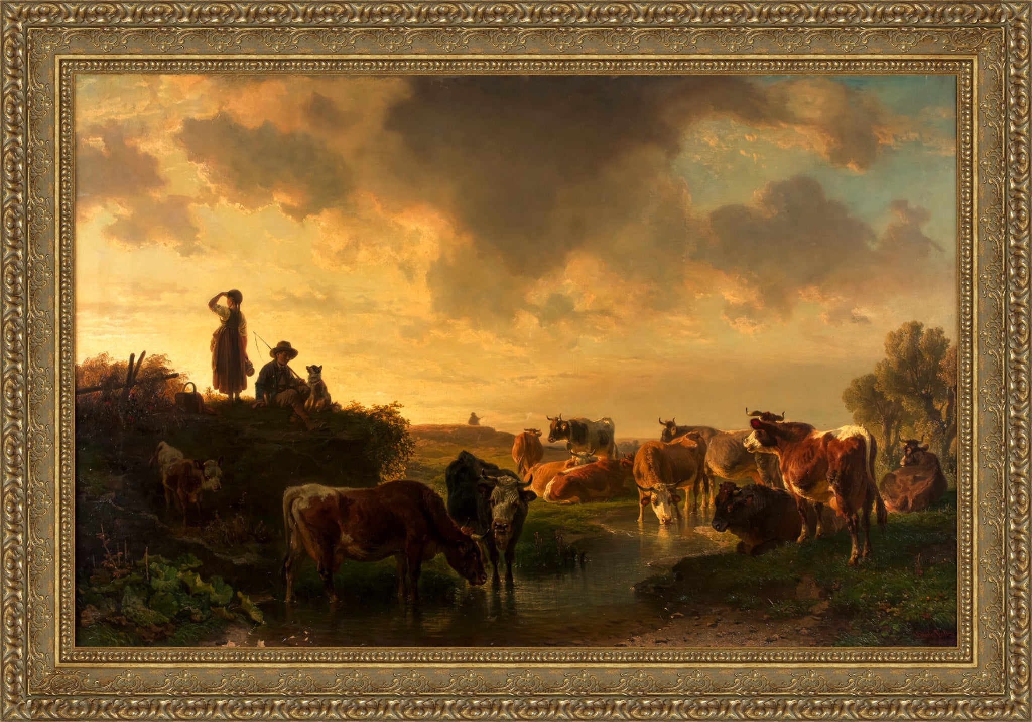 Abend Auf Der Viehweide