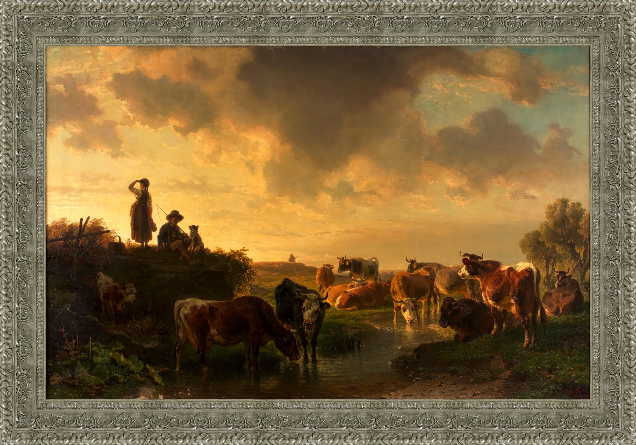 Abend Auf Der Viehweide