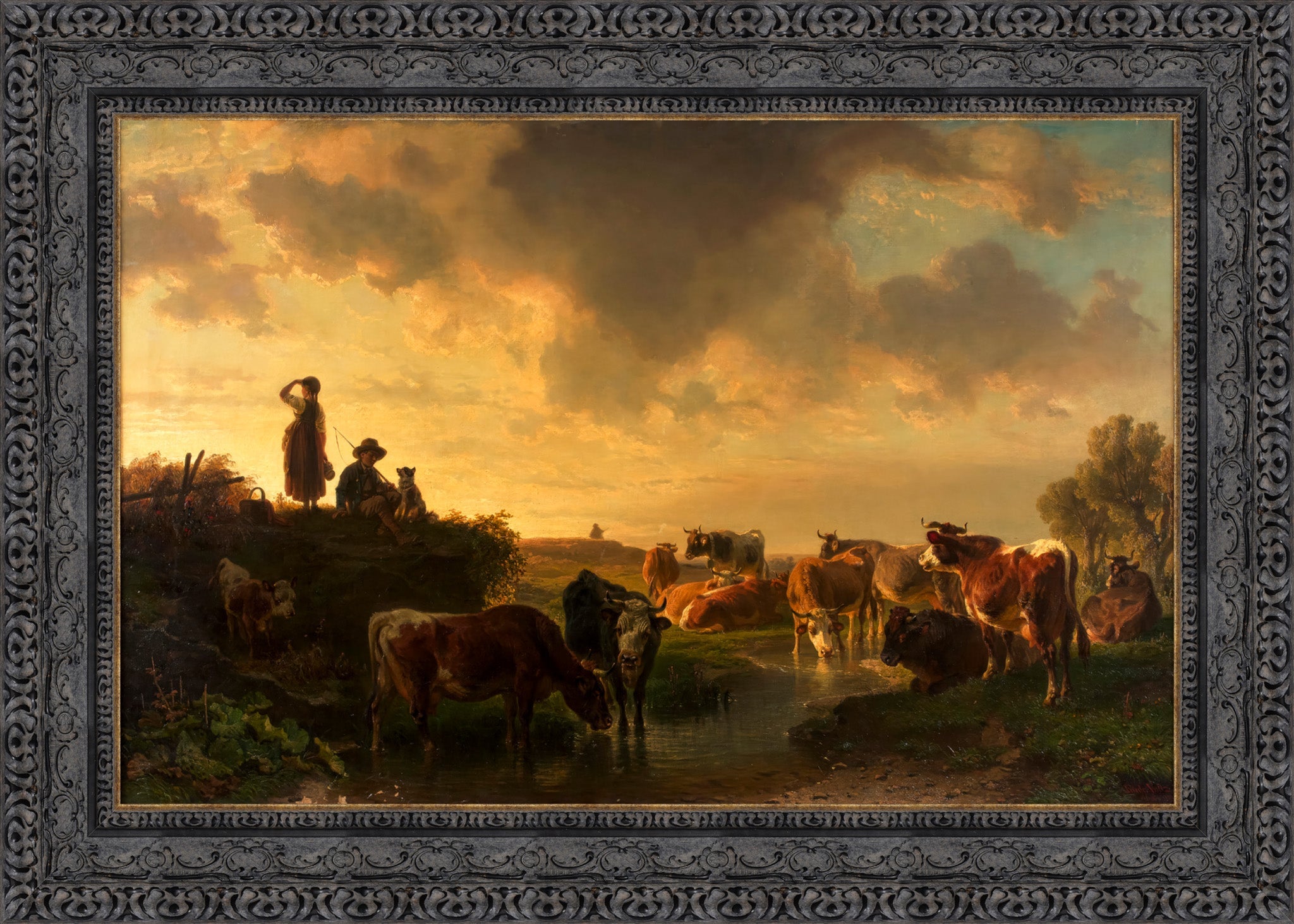 Abend Auf Der Viehweide