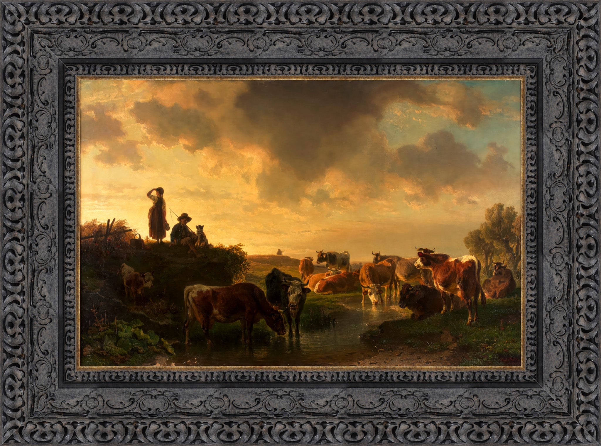 Abend Auf Der Viehweide