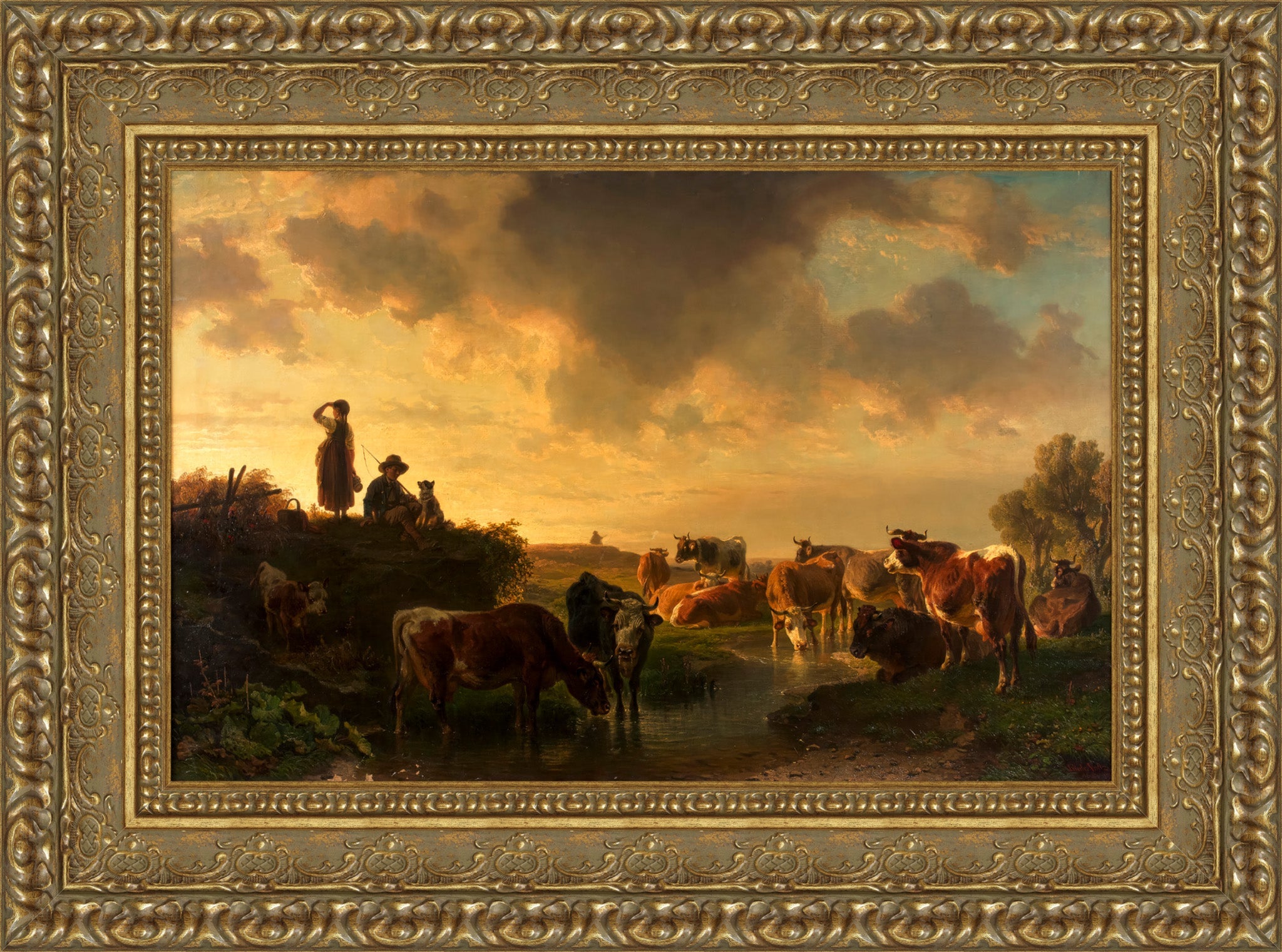 Abend Auf Der Viehweide