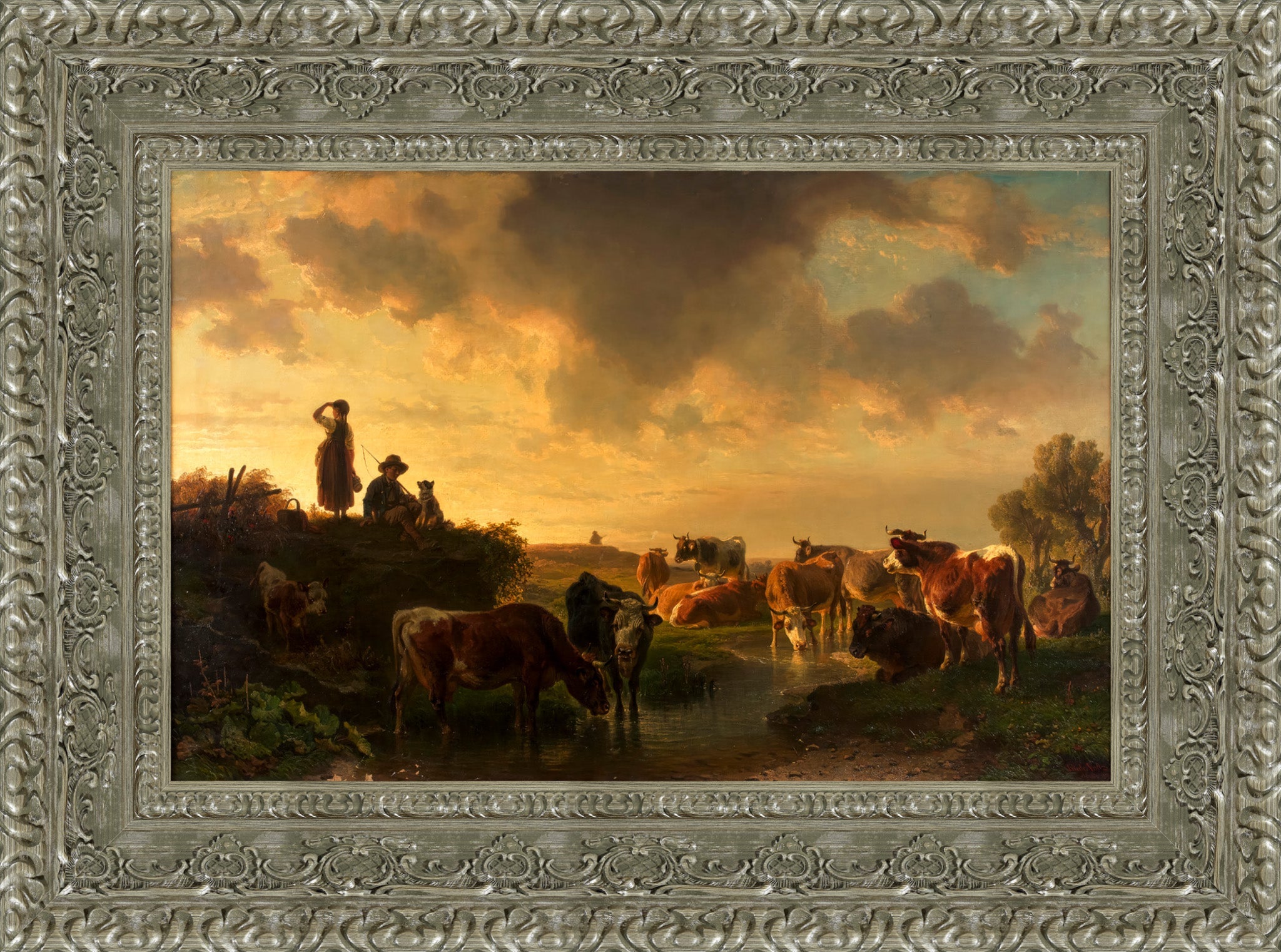 Abend Auf Der Viehweide