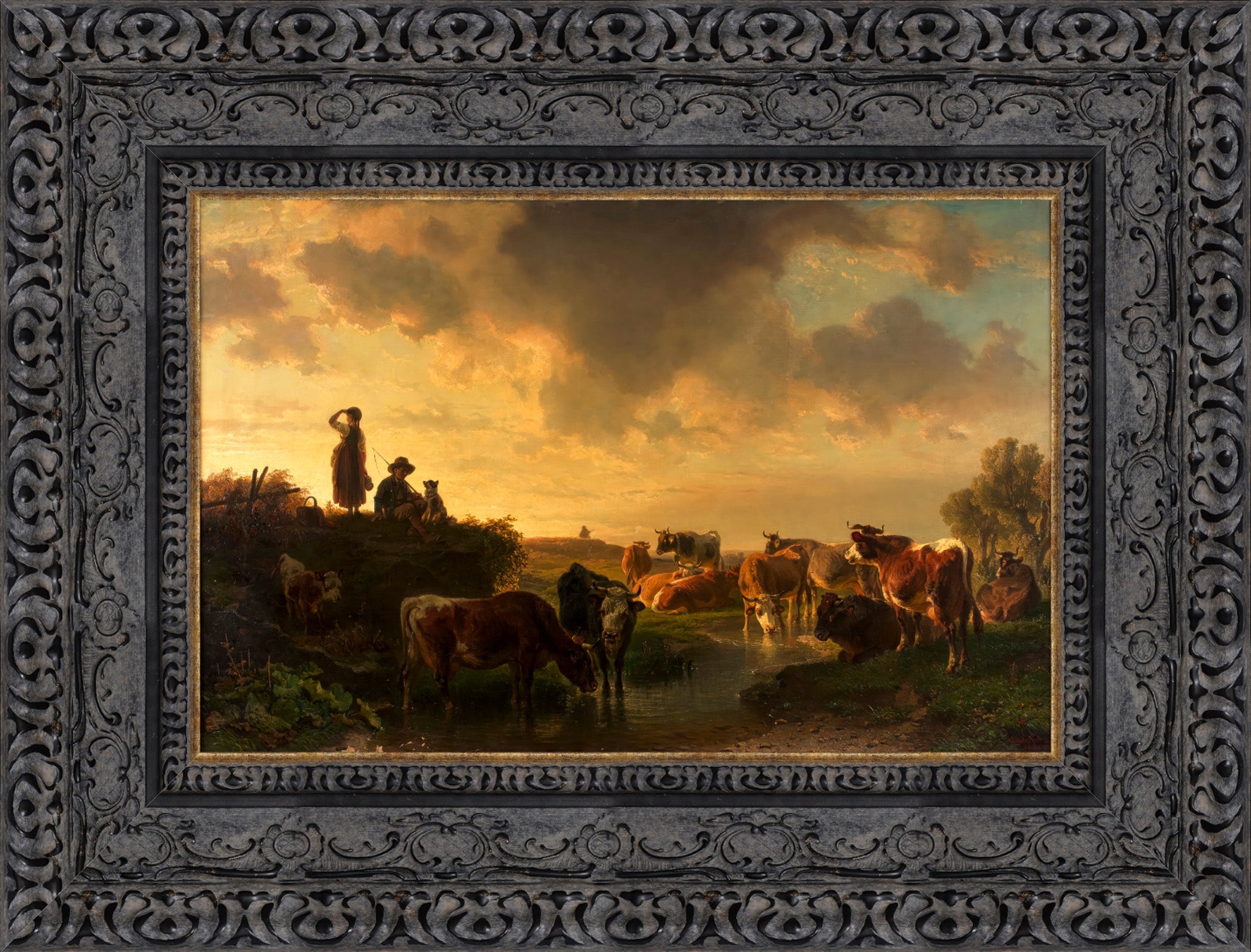 Abend Auf Der Viehweide