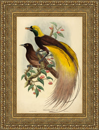 Gold frame