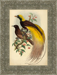 Silver frame