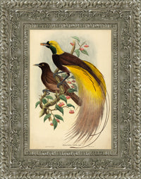 Silver frame