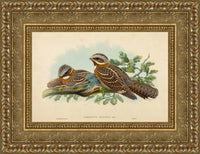 Gold frame