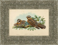 Silver frame