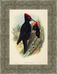 Silver frame