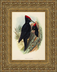 Gold frame