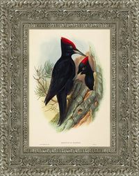 Silver frame
