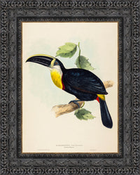 Dark Bronze frame