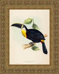 Gold frame