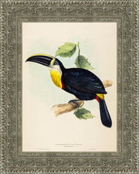 Silver frame