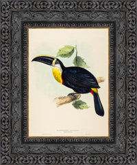 Dark Bronze frame