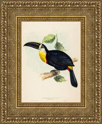Gold frame