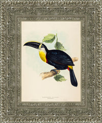 Silver frame