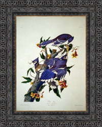 Dark Bronze frame