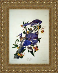 Gold frame
