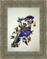 Silver frame