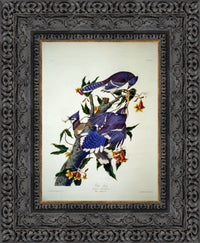 Dark Bronze frame