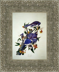 Silver frame