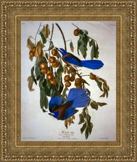 Gold frame