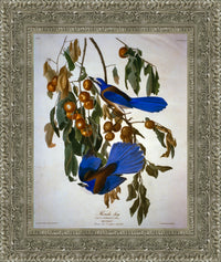 Silver frame