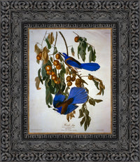 Dark Bronze frame