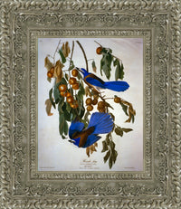 Silver frame