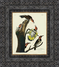 Dark Bronze frame