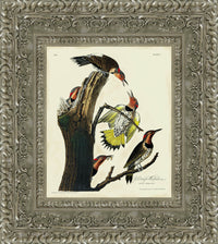 Silver frame