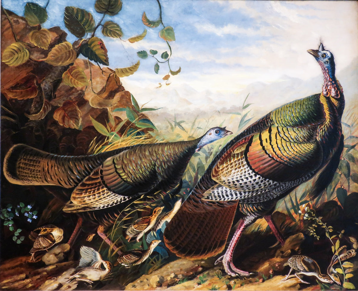 Wild Turkey Cock, Hen and Young – John James Audubon, 1825, framed