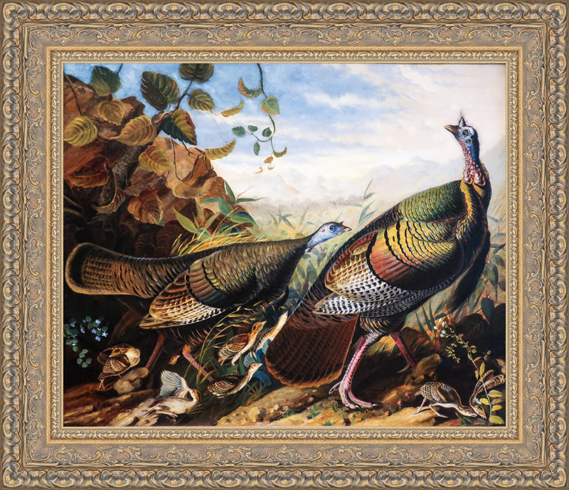 Wild Turkey Cock, Hen and Young – John James Audubon, 1825