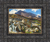 Dark Bronze frame