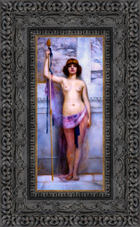 Dark Bronze frame