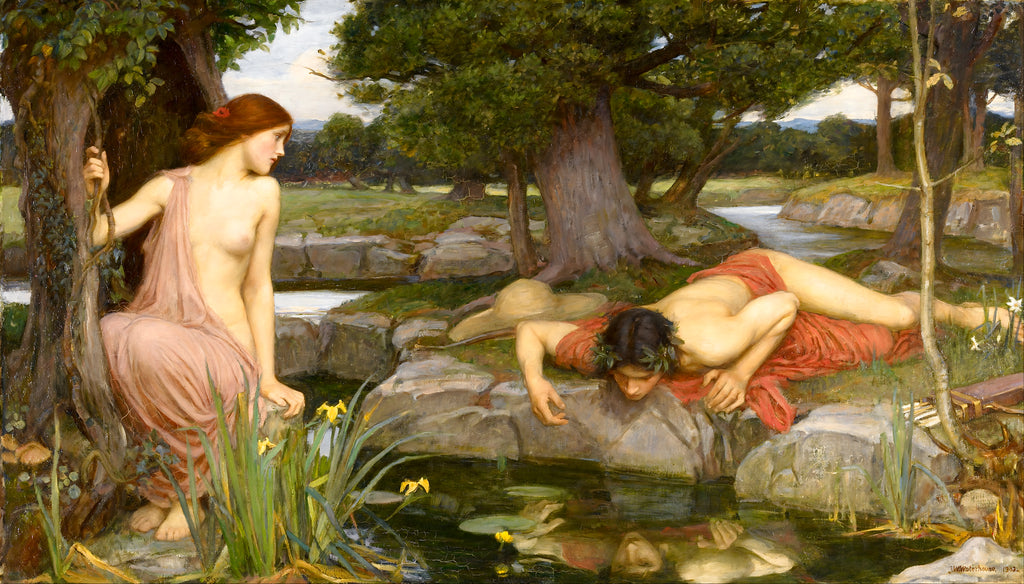 Echo And Narcissus