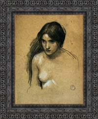 Dark Bronze frame