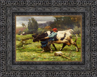 Dark Bronze frame