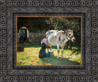 Dark Bronze frame