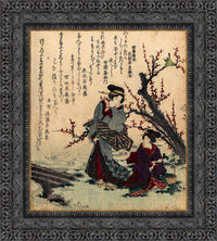 Dark Bronze frame