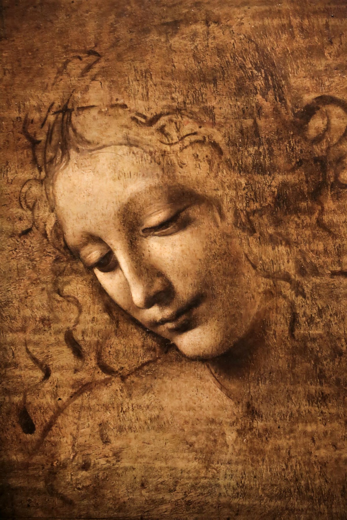 La Scapigliata – Leonardo da Vinci, 1500–1510, framed