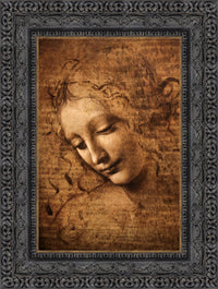 Dark Bronze frame